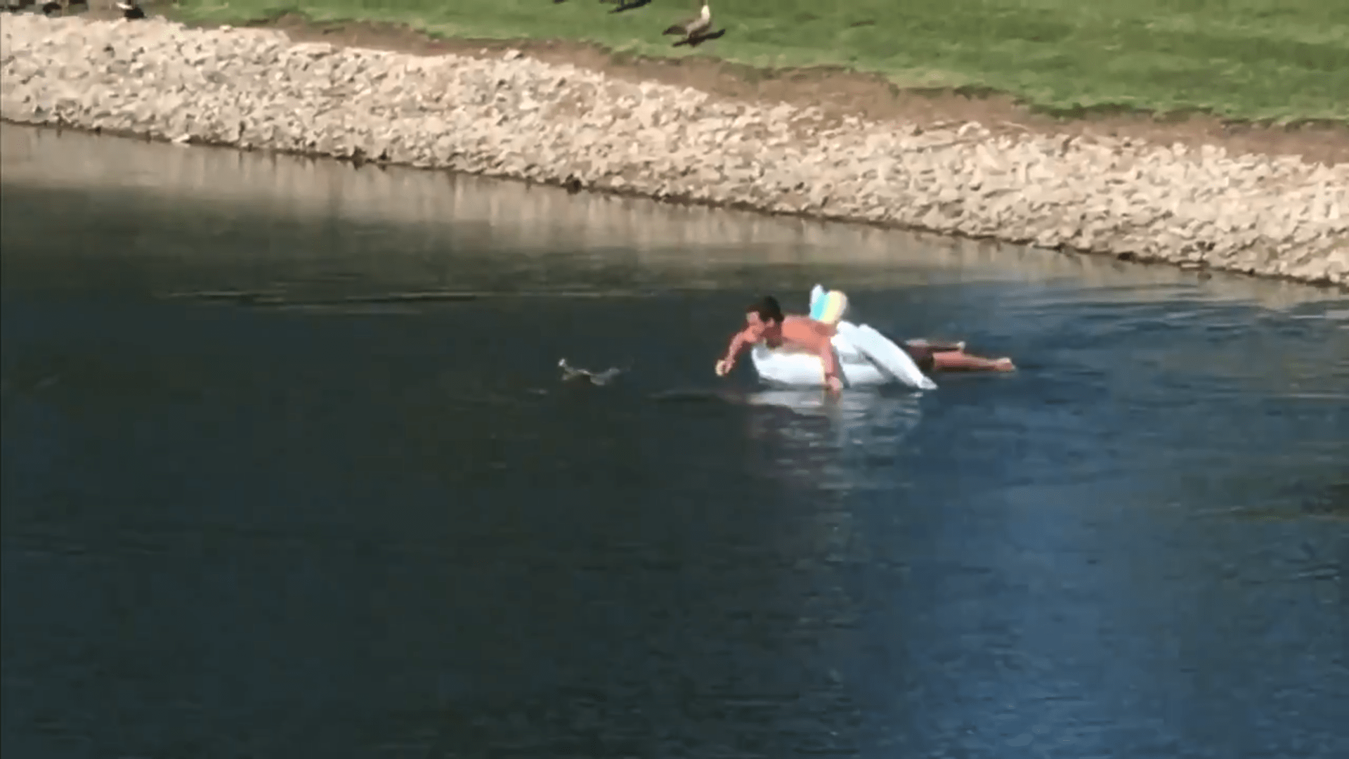 Unicorn float Cary Coppola
