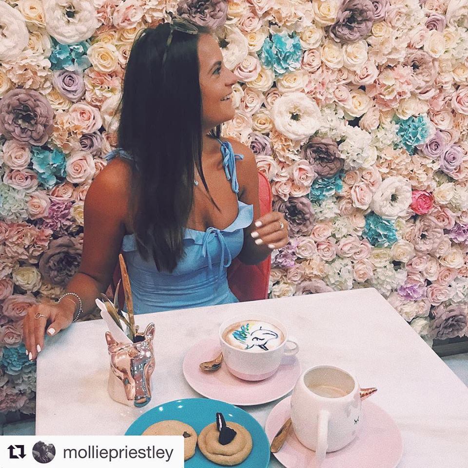 40079730_341575053050529_7050987534272167936_n